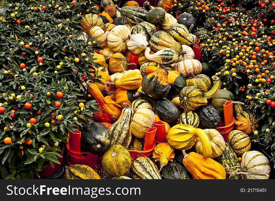 Zucchini and peppers at market in Italy