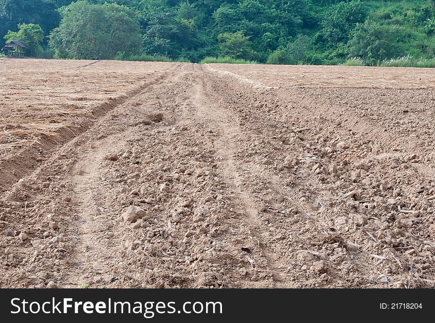 Cultivated brown dried field, north of thailand