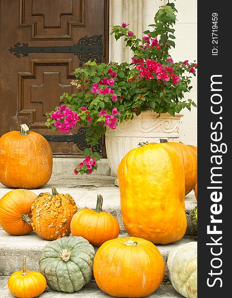 Pumpkins And Bougainvilla:  Halloween In The South