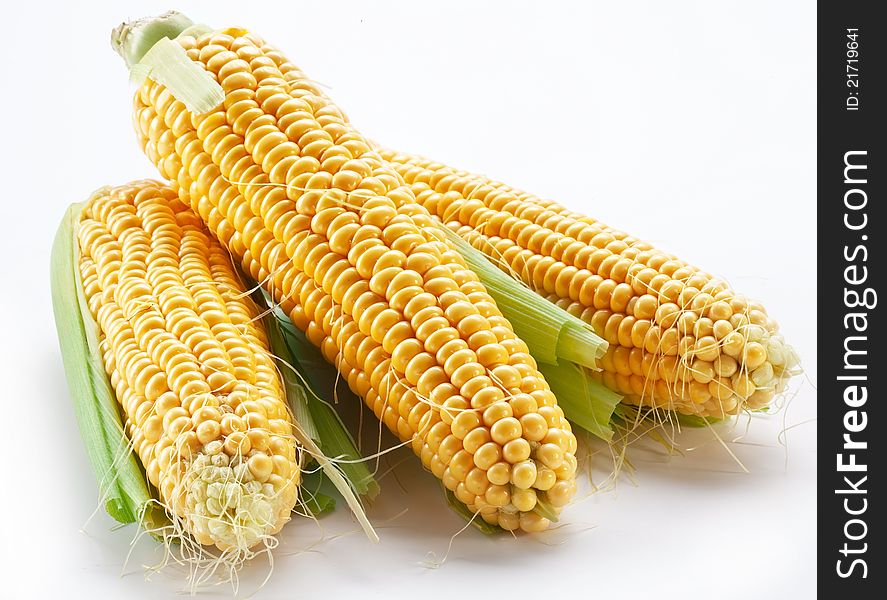 Three corn ears on a white background. Three corn ears on a white background