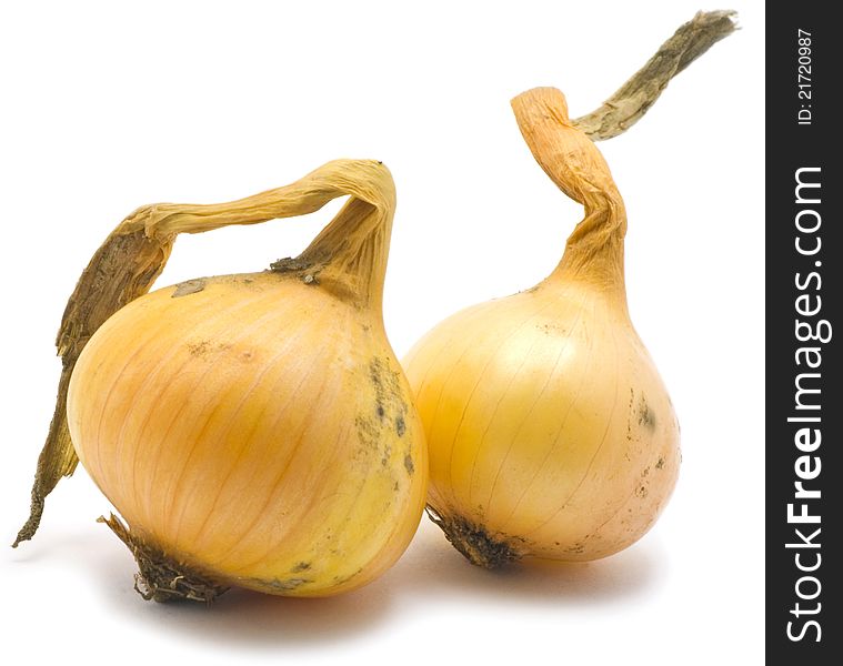 Two onions on white backgroound