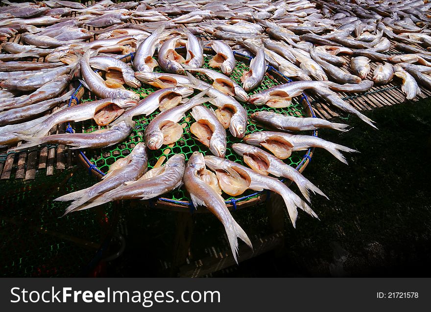 Salted fish basking in the sun , from thailand