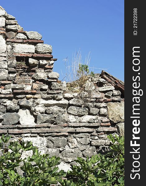 Old bricks wall and vegetation, raw. Old bricks wall and vegetation, raw