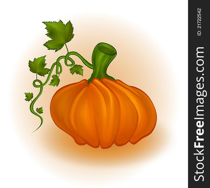 Orange Pumpkin illustrated in Vector pieces