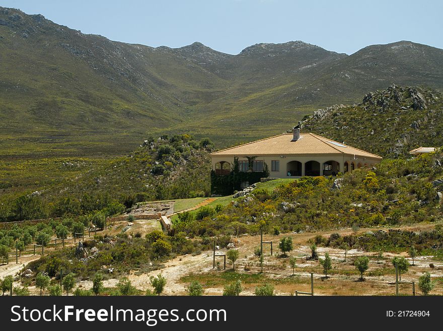 Summer Spanish style villa home with mountains and olive groves in the landscape in the Overberg wine route region, Western cape, South Africa. Summer Spanish style villa home with mountains and olive groves in the landscape in the Overberg wine route region, Western cape, South Africa