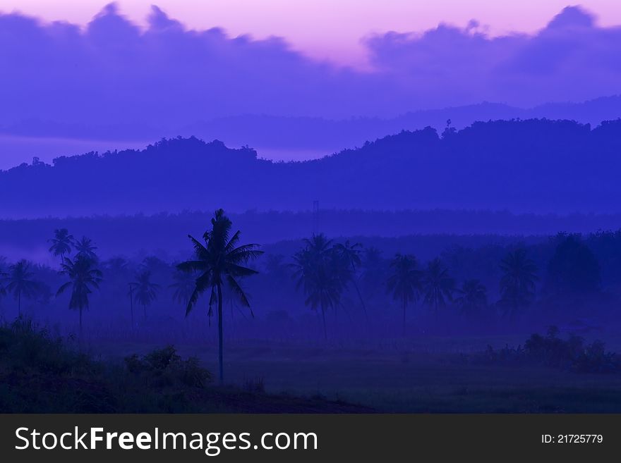 Coconut plant and mountain background in twillight time. Coconut plant and mountain background in twillight time.