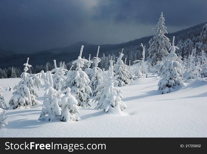 Winter Landscape