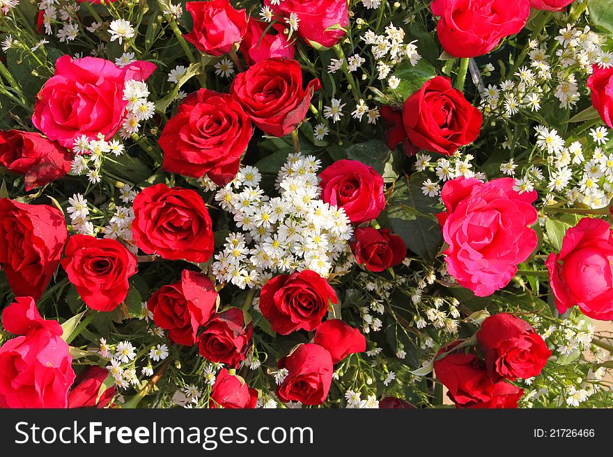 Flowers Decoration Background