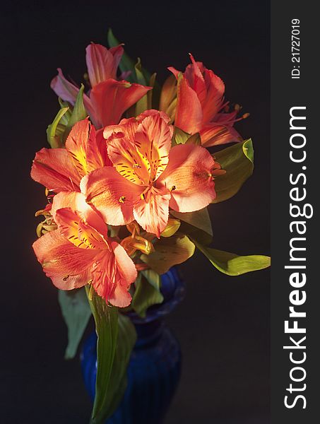 Bouquet of red-orange colors in a vase on a black background. Bouquet of red-orange colors in a vase on a black background