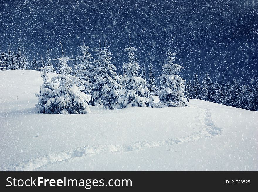 Winter landscape in mountains. Carpathians Ukraine