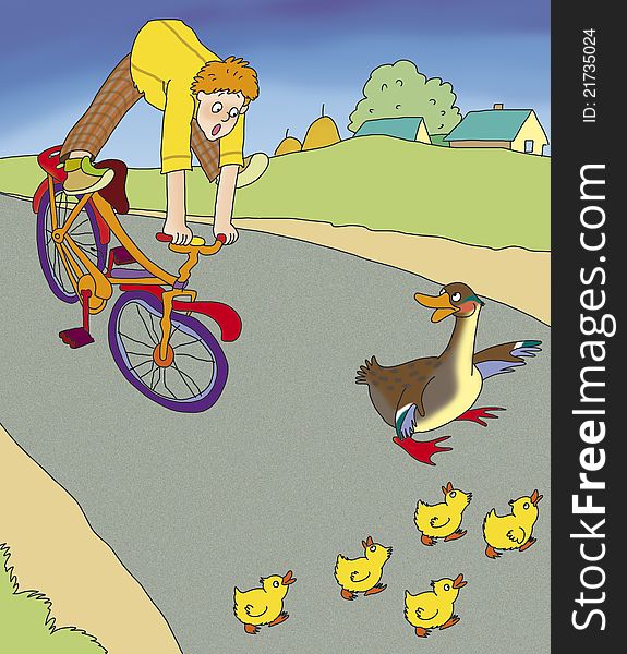 ducklings with duck cross the road on which the boy rides a bike. ducklings with duck cross the road on which the boy rides a bike