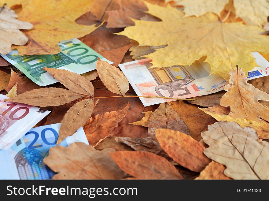 Business concept. European union currency mixed with dry autumn leaves. Business concept. European union currency mixed with dry autumn leaves