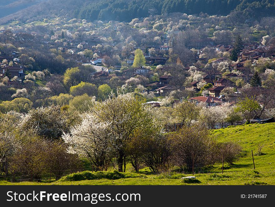 View of Bulgarian village in the mountains with blossoming trees