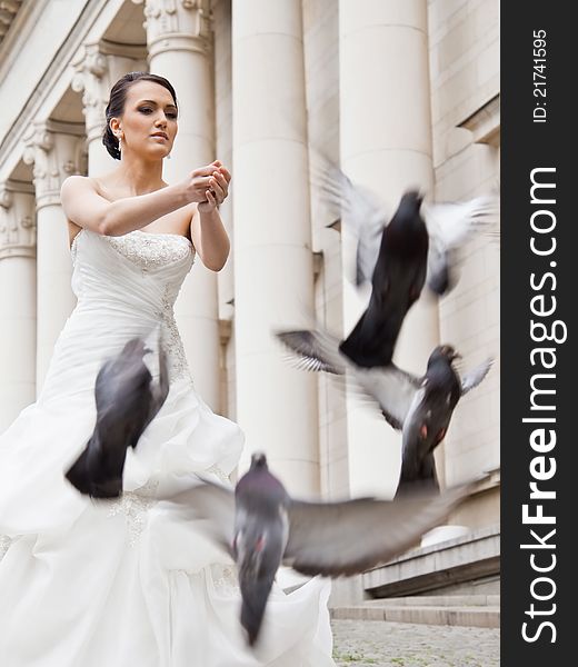 Young beautiful bride releasing grey doves. Young beautiful bride releasing grey doves