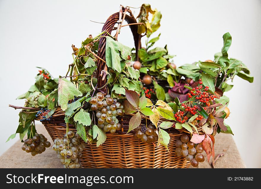 Basket with grapes and fall leaves.