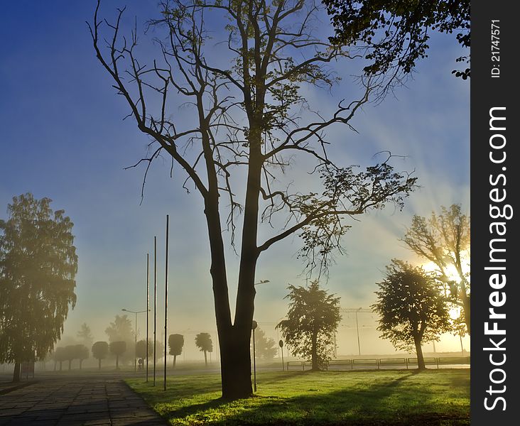 Autumnal misty morning in a park located near train station of Dubulti, famous Latvian resort spot