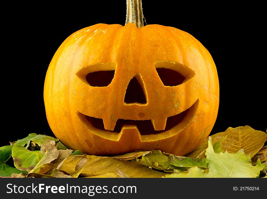 A Halloween pumpkin is a happy and grins