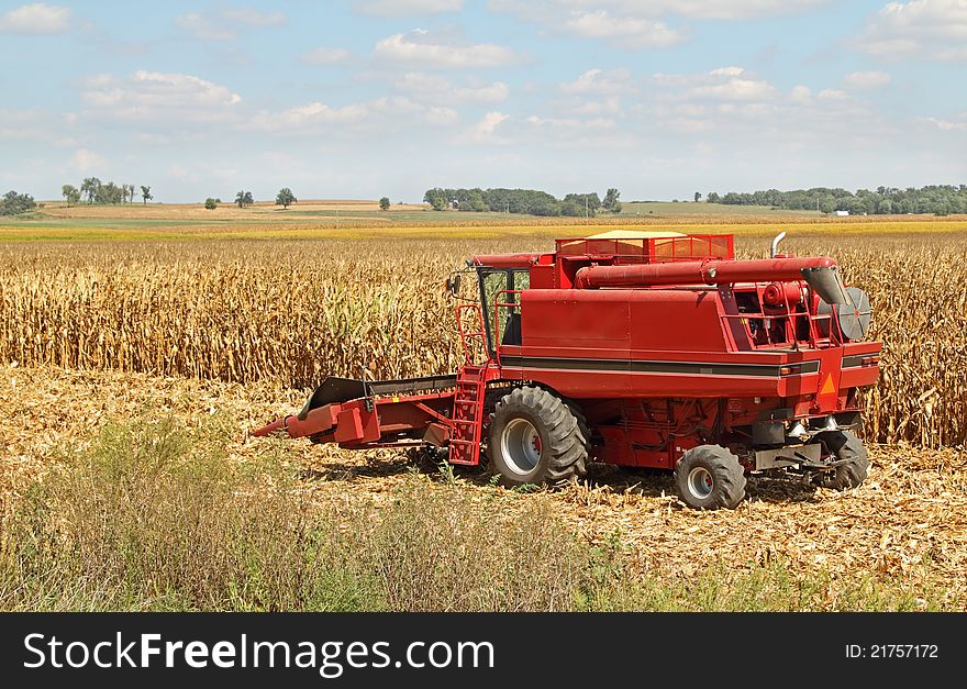 Corn crop being harvested with red combine. Corn crop being harvested with red combine