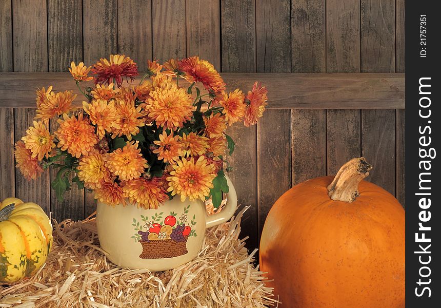 Autumn mums on a hay bale against a wood fence. Autumn mums on a hay bale against a wood fence