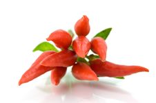 Red Pepper On A White Background Stock Image