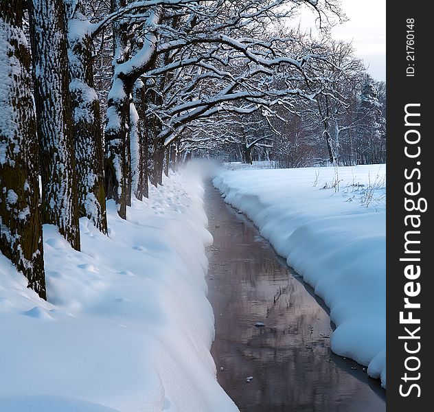 Winter Park Stream In Snow