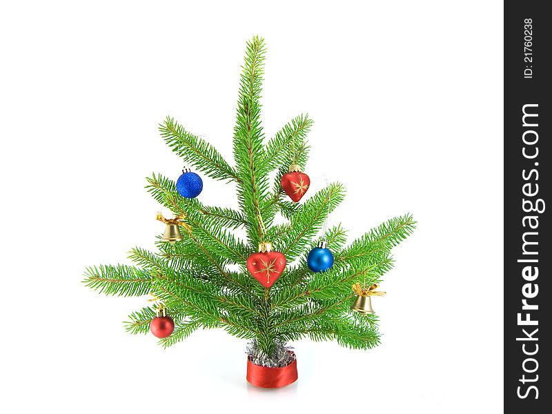 Christmas tree isolated on a white background