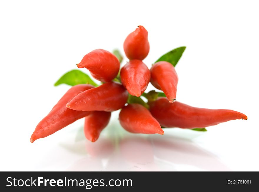 Red pepper on a white background