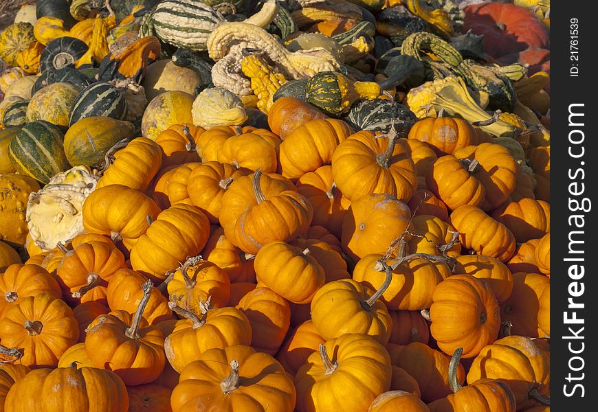 Pile of pumpkins and gourds at a market