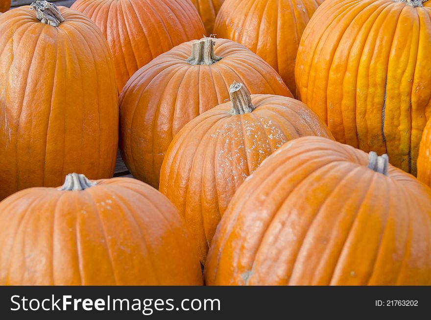 Pumpkins In An Open Air Market