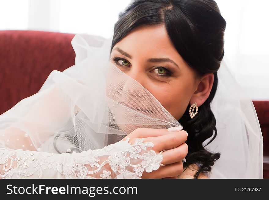 Portrait of a beautiful bridein veil indoor