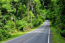 Road Along Forest At Khao Yai National Park, Thail Stock Photos Road Along Forest At Khao Yai National Park, Thail Stock Photos