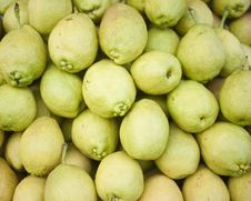Pile Of Pear Royalty Free Stock Images Pile Of Pear Royalty Free Stock Images