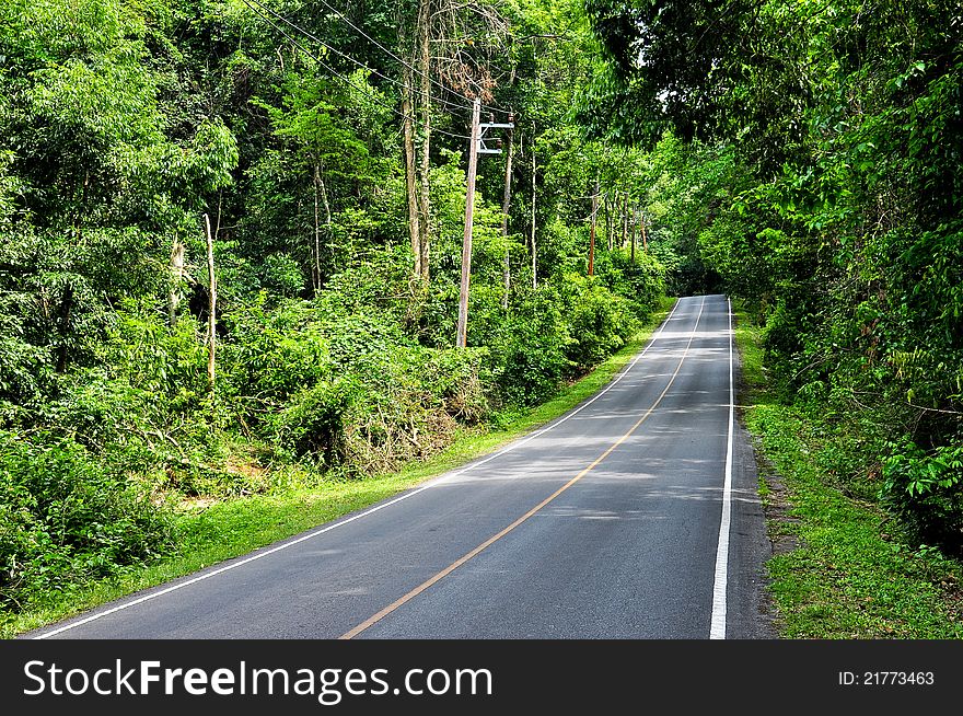 Road Along Forest At Khao Yai National Park, Thail