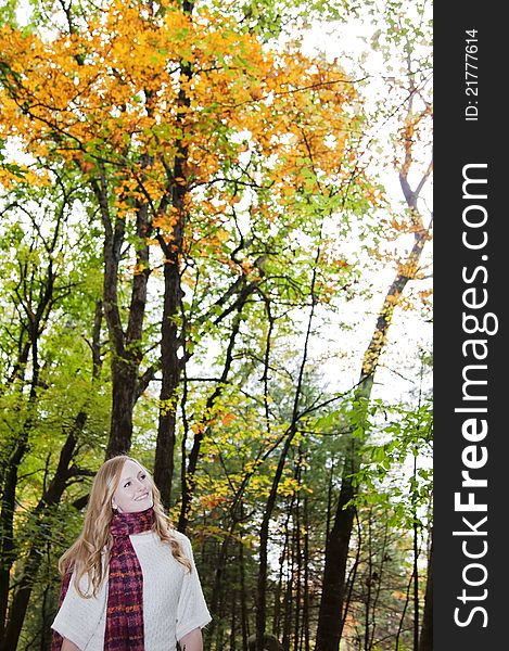 A smiling young woman head tilted looking up thinking under colorful fall foliage. A smiling young woman head tilted looking up thinking under colorful fall foliage.