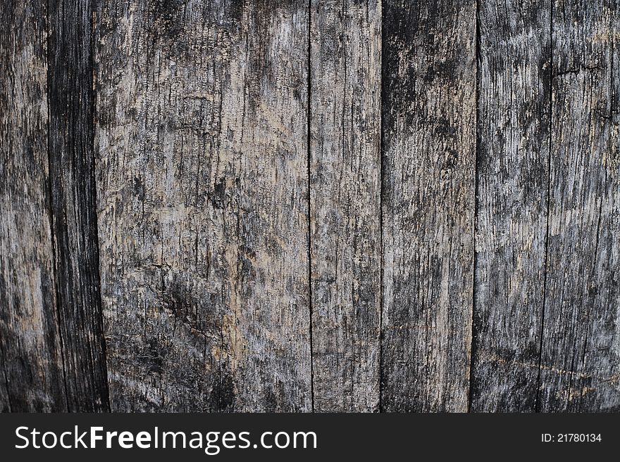 Textured Organic Wood Surface Background