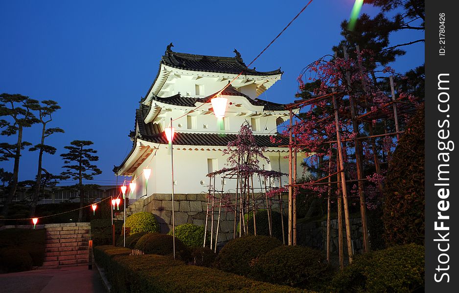 Night time view of the historic castle in japan