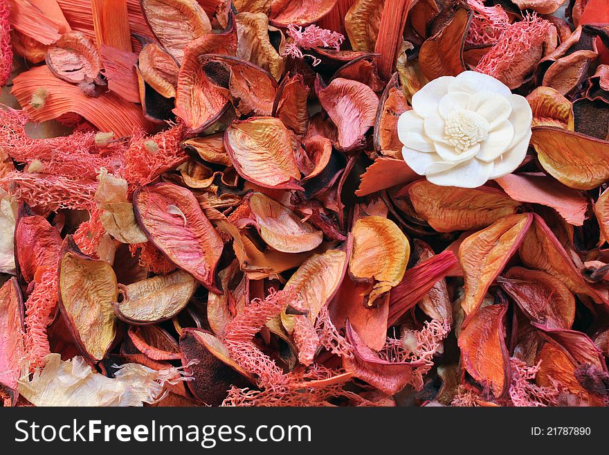 Pile of dry leaves and a white flower. Pile of dry leaves and a white flower.