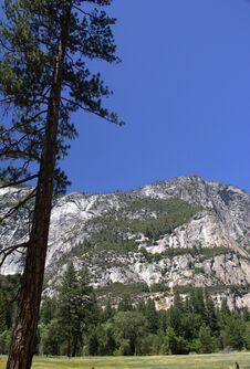 Half Dome Mountain In Yosemite Trail Royalty Free Stock Photo Half Dome Mountain In Yosemite Trail Royalty Free Stock Photo