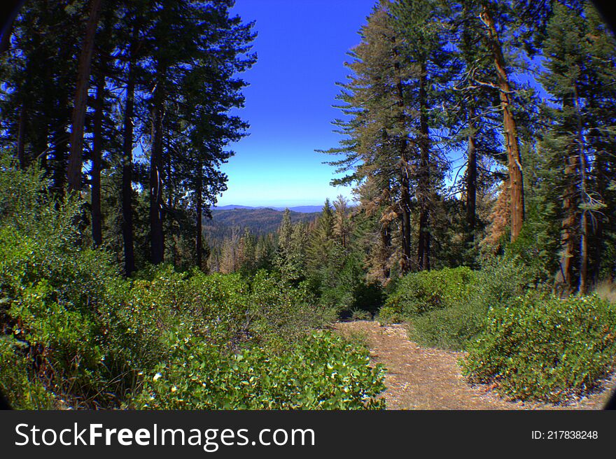 Yosemite Trail  In  View