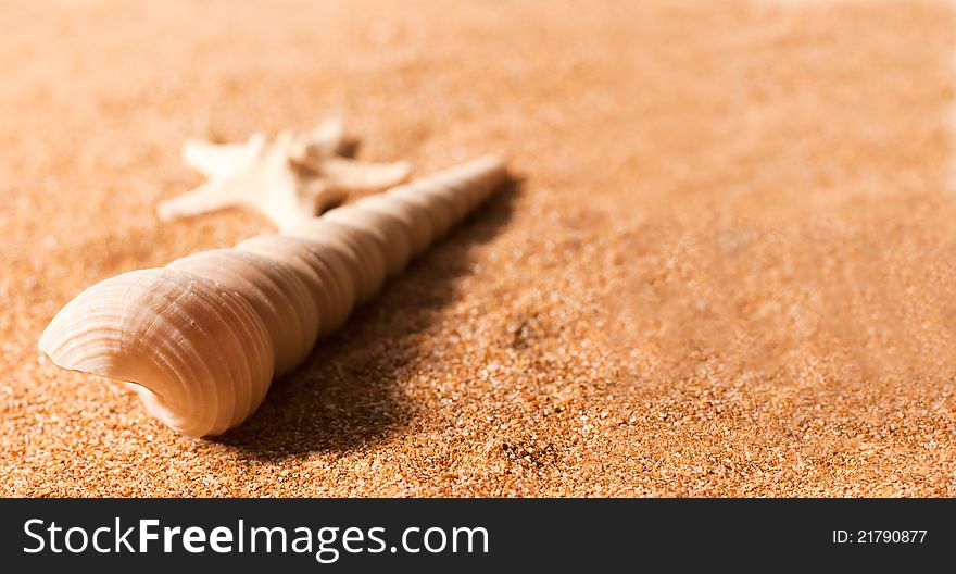 Abstract summer still-life over sea sand