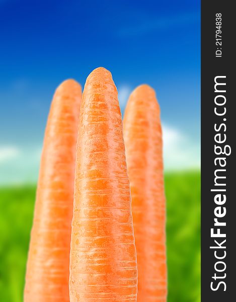 Organic carrots on a beautiful summer background. Organic carrots on a beautiful summer background