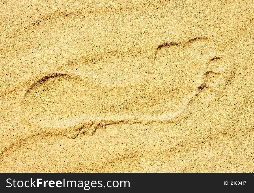 Foot print in a beach sand.