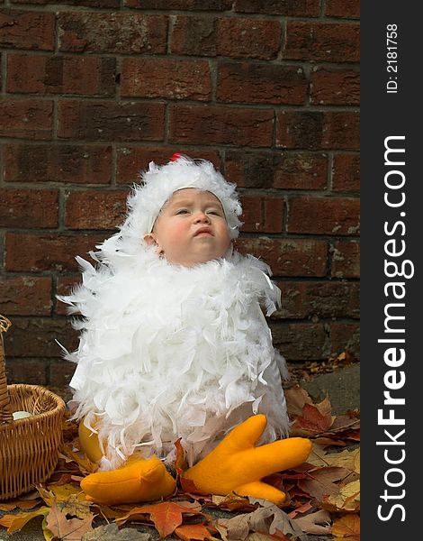 Image of baby wearing a chicken costume, sitting next to a basket of eggs. Image of baby wearing a chicken costume, sitting next to a basket of eggs