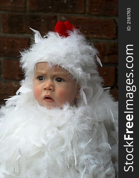 Image of baby wearing a chicken costume. Image of baby wearing a chicken costume