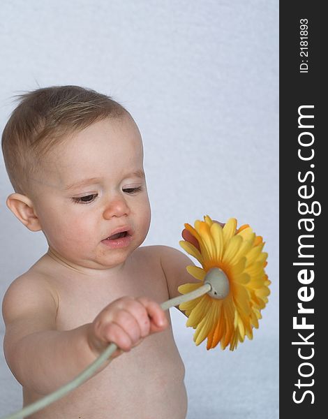 Image of cute baby playing with a a silk flower. Image of cute baby playing with a a silk flower