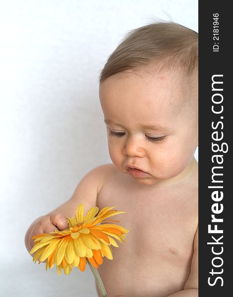 Image of cute baby holding a a silk flower. Image of cute baby holding a a silk flower