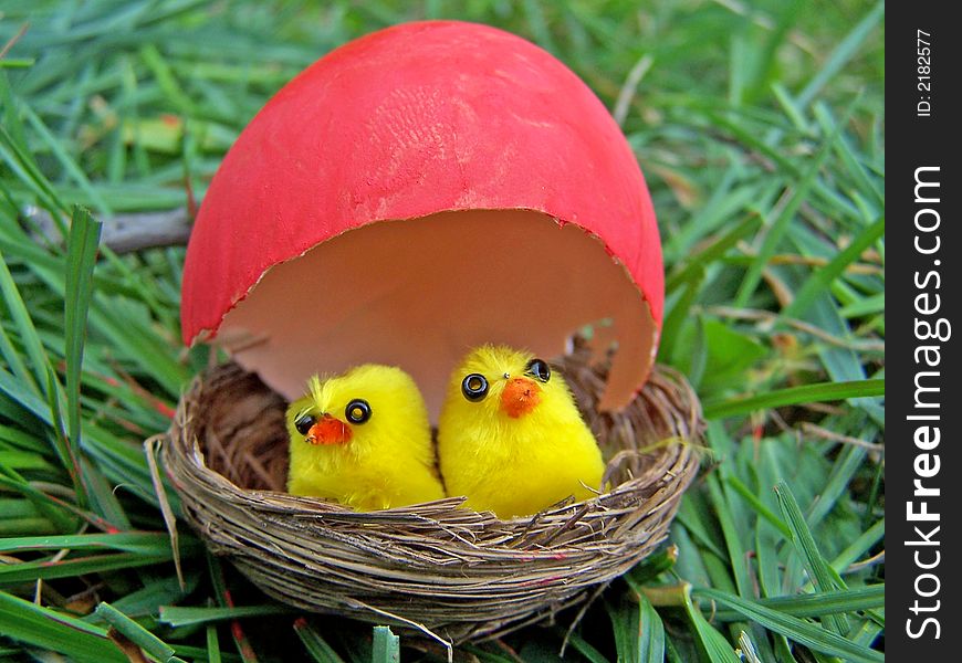 Toy baby chicken in the nest protected by an egg shell. Toy baby chicken in the nest protected by an egg shell