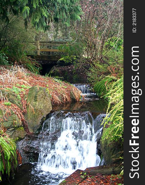 A stream with a waterfall and bridge in a rainforest. A stream with a waterfall and bridge in a rainforest