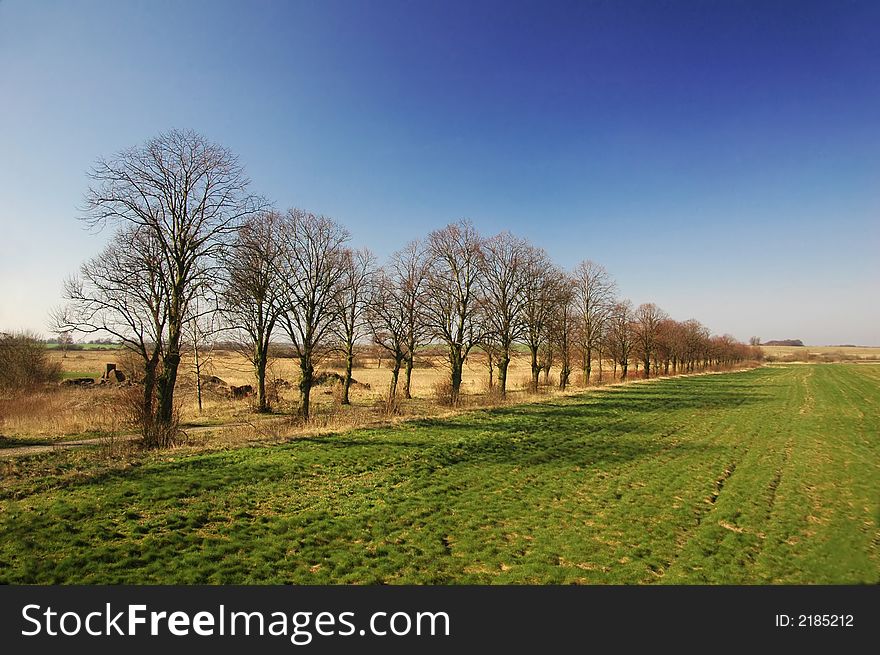 Road near green field and deep blue sky