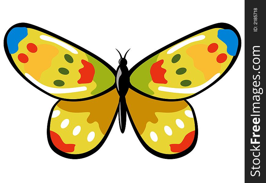 Colourful yellow butterfly